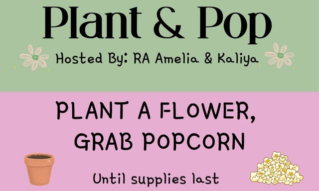 Flyer for Plant & Pop